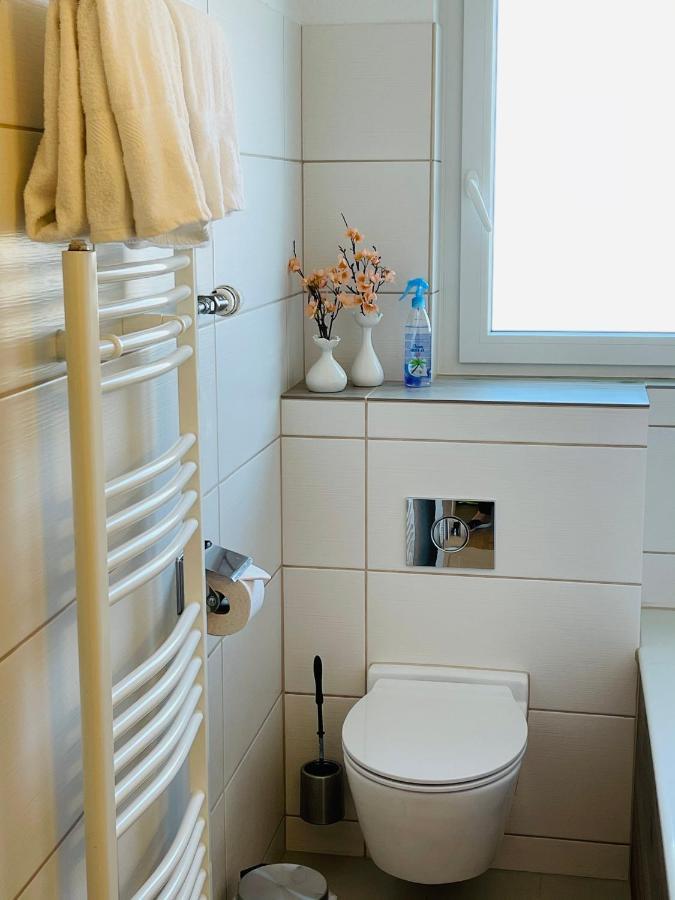 S&P Mountain View Apartment 1 Wilderswil Eksteriør bilde